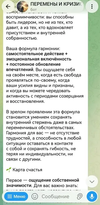 Разбор в чате с ассистентом, кадр 2