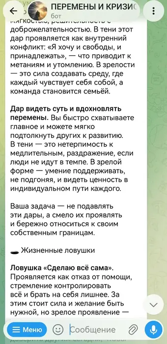 Разбор в чате с ассистентом, кадр 9