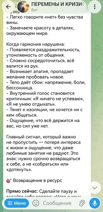 Разбор в чате с ассистентом, кадр 15