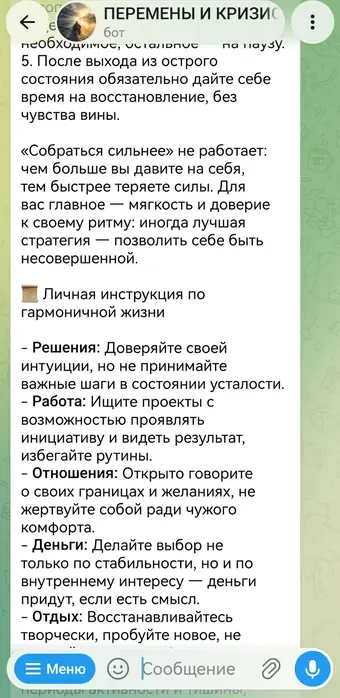 Разбор в чате с ассистентом, кадр 17