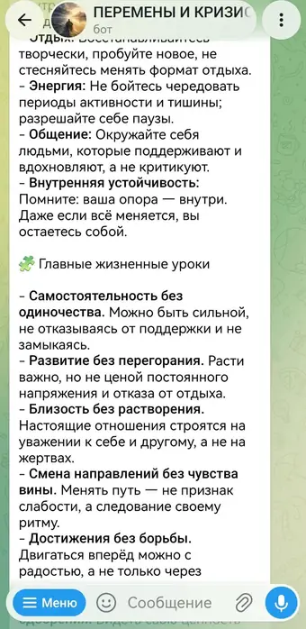 Разбор в чате с ассистентом, кадр 18