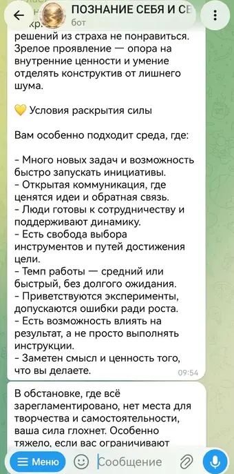 Разбор в чате с ассистентом, кадр 10